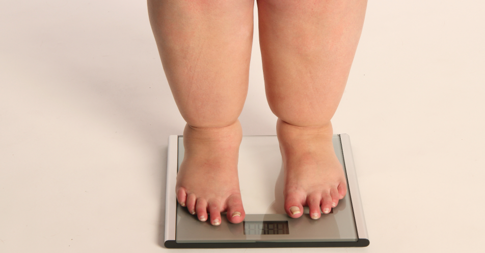 Adipositas: Veränderung des tageszeitabhängigen Stoffwechselzyklus durch kalorienreiche Ernährung